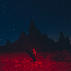 PHOEBE BRIDGERS - PUNISHER