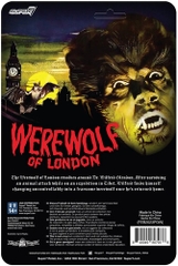Universal Monsters - ReAction Figures - Werewolf of London (Large Item, Collectible, Figure, Action Figure)