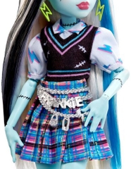 Mattel - Monster High Frankie Stein Doll (Large Item, Collectible, Doll)