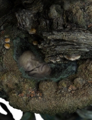 WETA Workshop - LOTR Trilogy - Masters Collection - The Dead Marshes