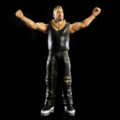 Mattel Collectible - WWE Figure #22 (Large Item, Action Figure, Collectible)