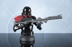 Diamond Select - Sw Fallen Order Purge Trooper Commander 1/6 Scale Bust (Large Item, Statue, Collectible)