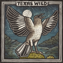 Various Artists - Texas Wild (Various Artists)