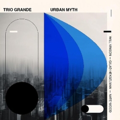 WILL  VINSON/ GILAD  HEKSELMAN/ NATE WOOD - Trio Grande: Urban Myth