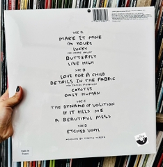 vinyl Jason Mraz – We Sing, We Dance, We Steal Things (2LP,etched artwork on Side D