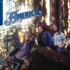 America - Now Playing (Clear Vinyl, Coke Bottle Green, Brick & Mortar Exclusive)