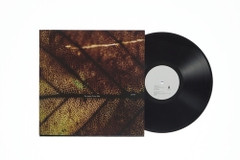 Pay Money to My Pain - gene (180 Gram Vinyl, Limited Edition)