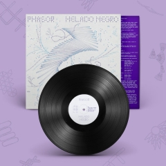 Helado Negro Phasor LP