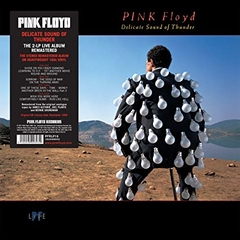 vinyl PINK FLOYD - DELICATE SOUND OF THUNDER (2 Lp)