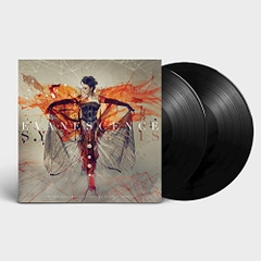 Đĩa LP Evanescence – Synthesis (2xLP)