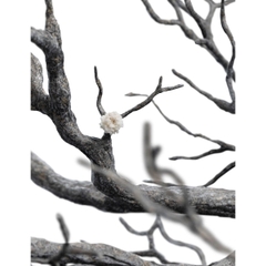 Weta Workshop - LOTR - Fountain Guard of the White Tree 1-6 Scale (Limited Ed.)