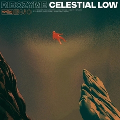 Ribozyme Celestial Low LP (Orange & Black Marble Vinyl)