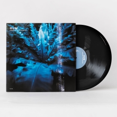 Hum Downward Is Heavenward 180g 2LP