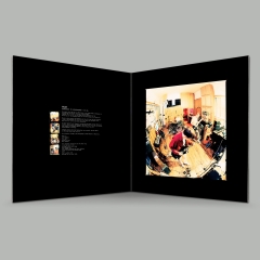 Hum Downward Is Heavenward 180g 2LP