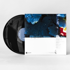Hum Downward Is Heavenward 180g 2LP