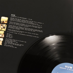 Hum Downward Is Heavenward 180g 2LP