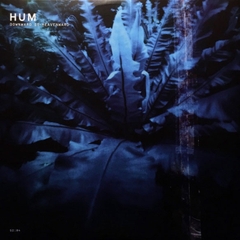 Hum Downward Is Heavenward 180g 2LP