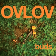 Ovlov Buds LP (Green Vinyl)