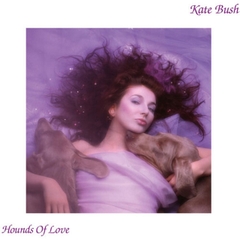 Kate Bush Hounds of Love 180g Import LP