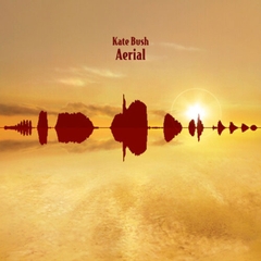 Kate Bush Aerial 180g Import 2LP