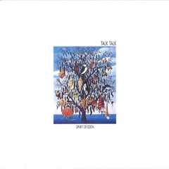 Talk Talk Spirit of Eden Import LP & DVD Audio Disc
