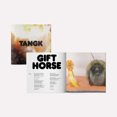 IDLES TANGK (Deluxe Edition) LP (Translucent Yellow Vinyl)