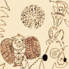 Devendra Banhart Rejoicing in the Hands / Nino Rojo 2LP