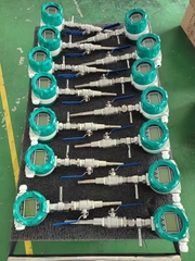 Đồng hồ đo lưu lượng hơi dạng Thermal Mass