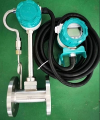 Đồng hồ đo lưu lượng hơi màn hình rời