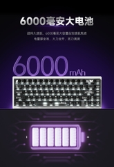 [Order] Kit Bàn phím cơ WEIKAV NUT65 - PCB 1,6mm