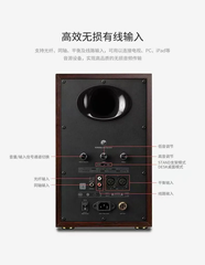 [Order] Hivi Swan D300