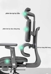 Ghế công thái học ZTRA SG009