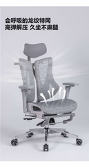 Ghế Công thái học Saigu HW1045