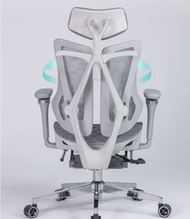 Ghế Công thái học Saigu HW1045