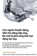 [Order] Ghế công thái học LIBERNOVO OMNI OC1 PRO