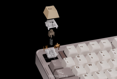 [Order] Evoworks Evo75 - Đã đóng ngày 11/08/2025