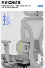 [Order] Ghế công thái học Saigu SG-027