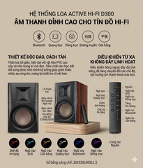 [Order] Hivi Swan D300