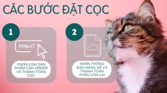 Chuột Zaopin Z2