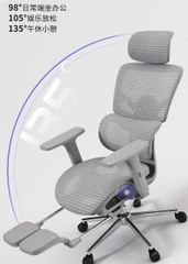 [Order] Ghế công thái học Ztra SG030