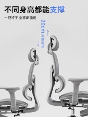 [Order] Ghế công thái học Ztra SG030