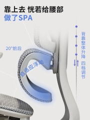 [Order] Ghế công thái học Ztra SG030