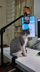 [Order] Epmic TM09 - Đã đóng ngày 05/06/2025