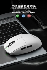 [Order] Chuột gaming Zaopin Z11 - Đã đóng ngày 14/12/2025