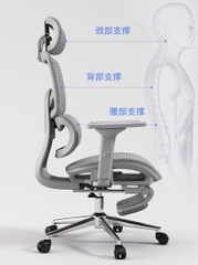 [Order] Ghế công thái học Ztra SG030