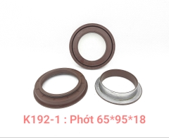 Phớt kép 65*95*18