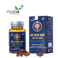 Bồ quân nam - Tiền liệt tuyến Vinacao