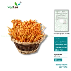 Đông Trùng Hạ Thảo Vinacao