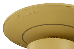 Máy lọc không khí LG PuriCare AeroFurniture AS20GPYU0 41W, màu vàng