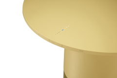 Máy lọc không khí LG PuriCare AeroFurniture AS20GPYU0 41W, màu vàng